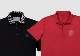 What Are The Most Popular Polo Shirts.jpg