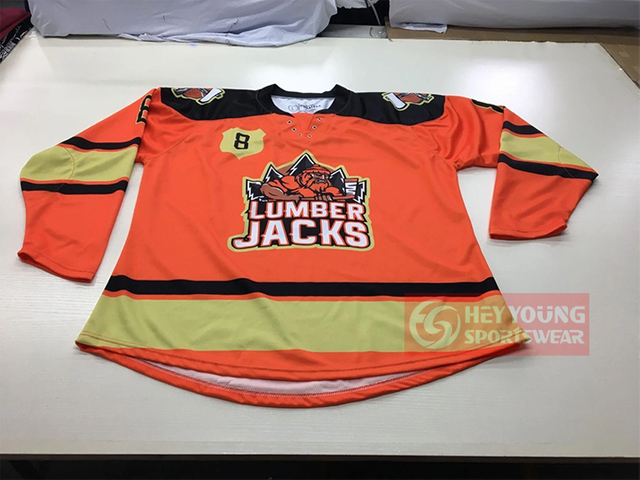  Cheap Custom Sublimated Ice Hockey Jersey for B2B Markets