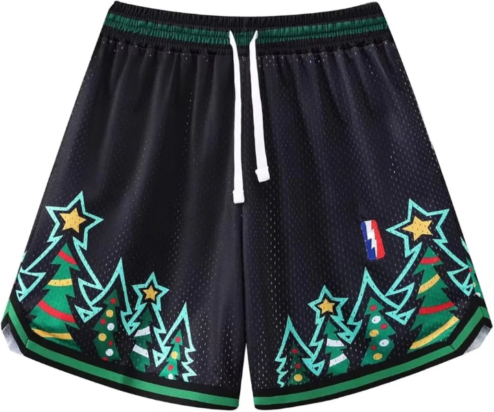 what are the mesh basketball shorts called2
